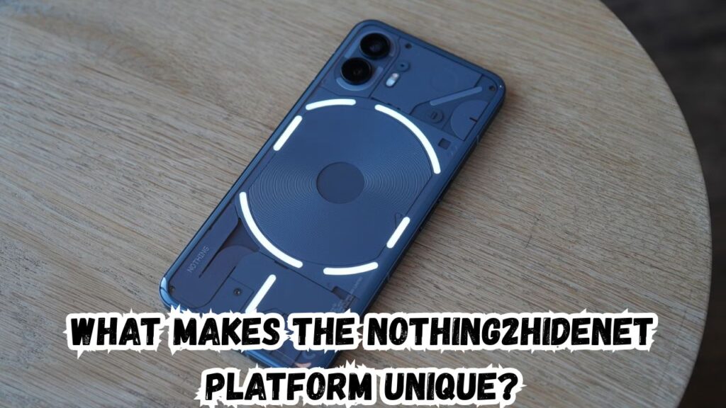 What Makes the Nothing2hidenet Platform Unique?